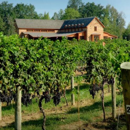 Virginia SBDC Capital Region | New Kent Winery